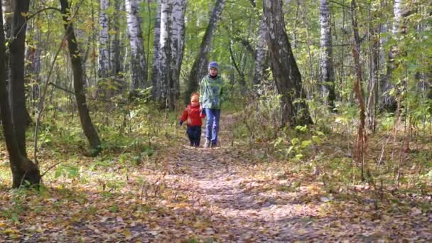 Un enfant en promenade dans le parc sur le feuillage d'automne — Video