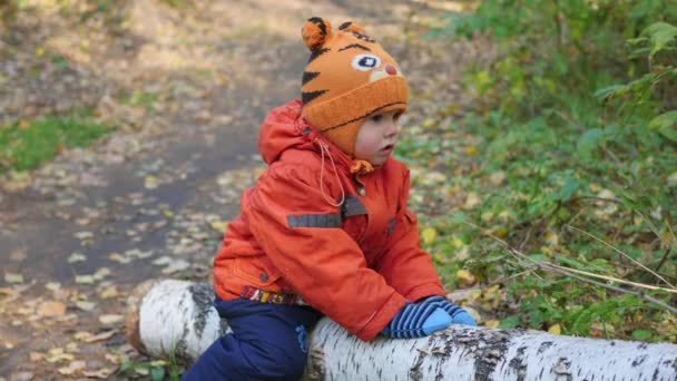 Ένα παιδί που αιωρούνται σε ένα πεσμένο δέντρο στο πάρκο — Αρχείο Βίντεο