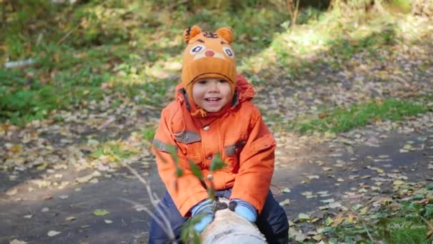 Un niño balanceándose sobre un árbol caído en el parque — Vídeo de stock