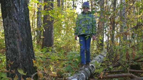 Un niño camina sobre un árbol caído en el parque de otoño — Vídeo de stock
