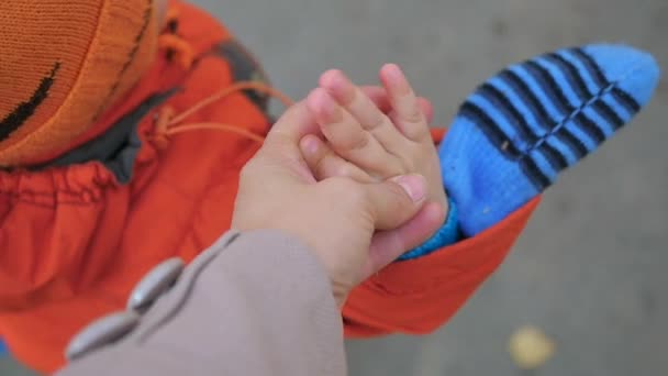 Mother leading a little child by the hand closeup — Stock Video