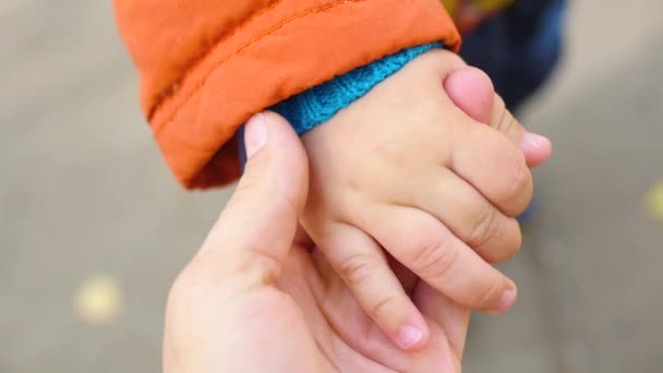 Eine winzige Hand ergriff ihre Mutter in Nahaufnahme — Stockvideo