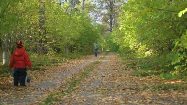 Niños jugando en el parque de otoño — Vídeos de Stock