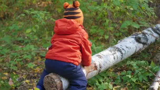 Parkta düşmüş bir ağaç üzerinde sallanan bir çocuk — Stok video