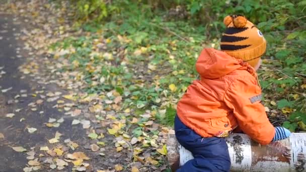 Дитина гойдається на падаючому дереві в парку — стокове відео