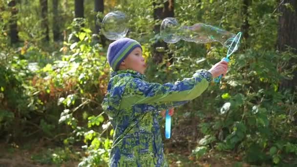 Menino faz grandes bolhas de sabão no parque com prazer — Vídeo de Stock