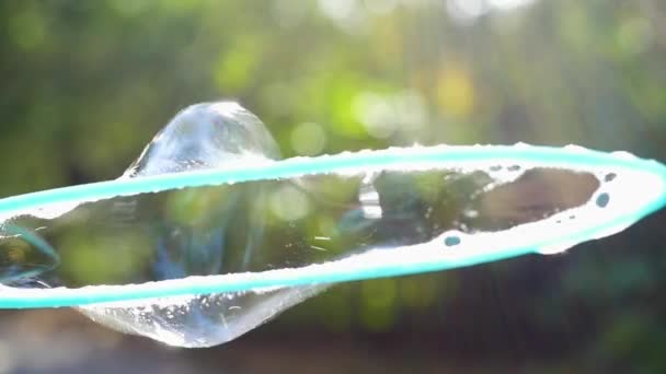 Souffler de grandes bulles de savon à la première personne dans le parc — Video