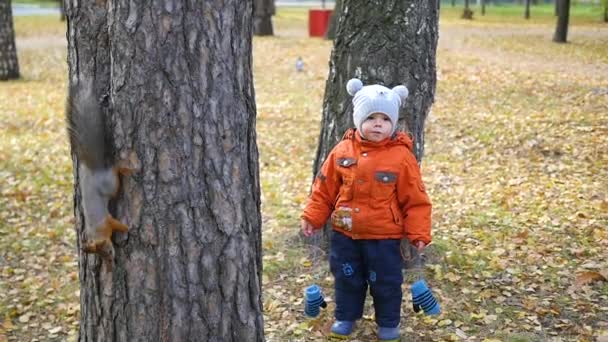Los niños caminan en el parque de otoño — Vídeos de Stock