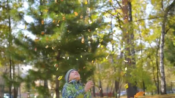 Barnet kastar upp över en gula blad i parken — Stockvideo