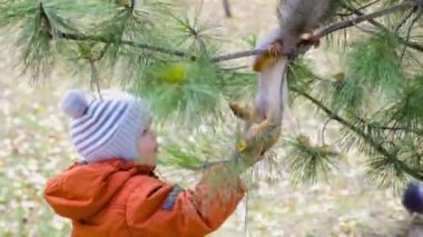parkta elinden besleme çocuk sincap