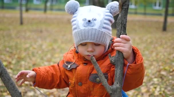 Paseo infantil en el parque de otoño — Vídeos de Stock