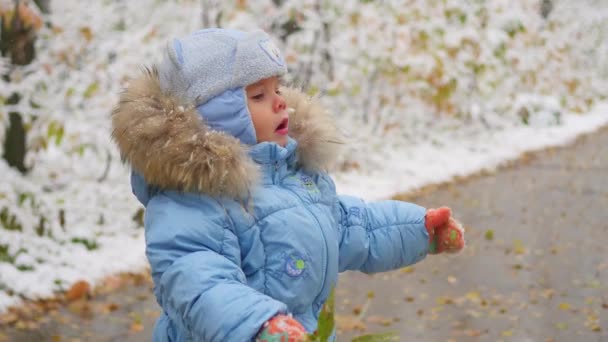 Das Kind blickt auf den Schnee, der im Park fällt — Stockvideo