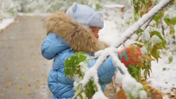 Niño feliz juega en un parque con árbol nevado — Vídeos de Stock