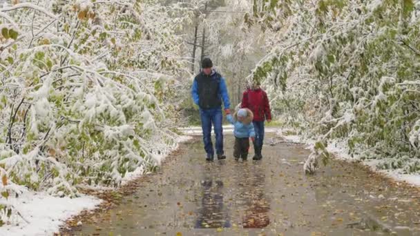 Family walking in a snowy alley in the autumn Park — Stock Video