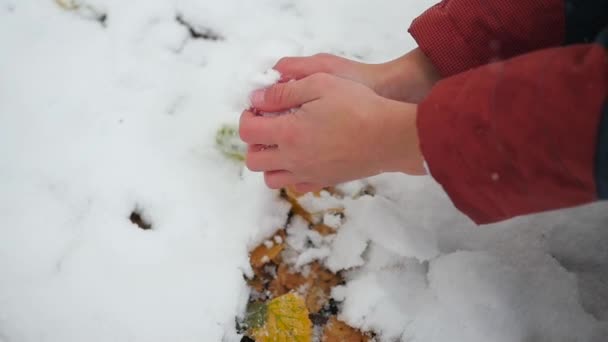 Bambino scolpisce una palla di neve a mani nude — Video Stock