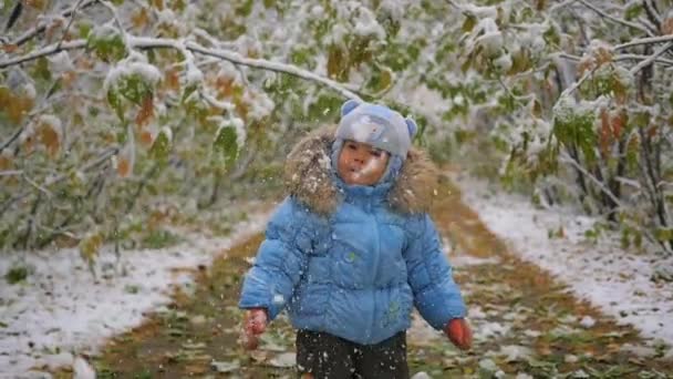 Ребенок смотрит на падающий в парке снег — стоковое видео