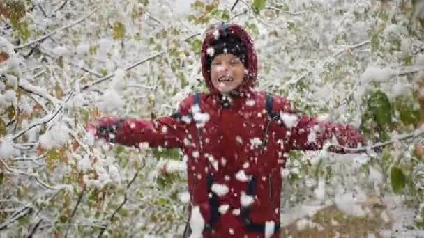 Het kind geniet van de vallende sneeuw uit de bomen in het park — Stockvideo