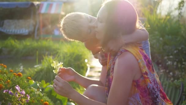 Дитина ніжно цілує і обіймає маму — стокове відео