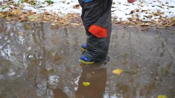 Ett barn går genom vattenpölar i höst park — Stockvideo