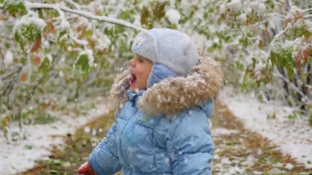 Het kind kijkt naar de sneeuw vallen in het park — Stockvideo