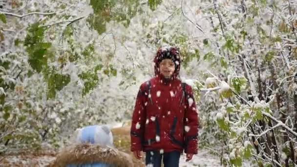 El niño disfruta de la nieve que cae de los árboles en el parque — Vídeos de Stock