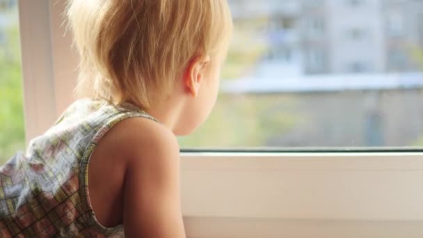 Дитина дивиться у вікно — стокове відео