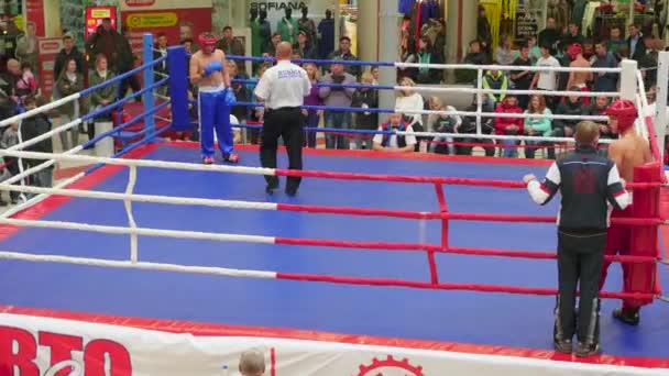 NOVOSIBIRSK, RUSSIE - 15 octobre 2016 : le tournoi de kickboxing sur le ring — Video