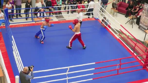 NOVOSIBIRSK, RUSSIA - October 15,2016: the tournament in kickboxing in the ring — Stock video