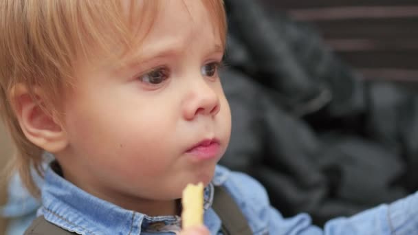 El niño come una papa frita en un restaurante de comida rápida de cerca — Vídeos de Stock