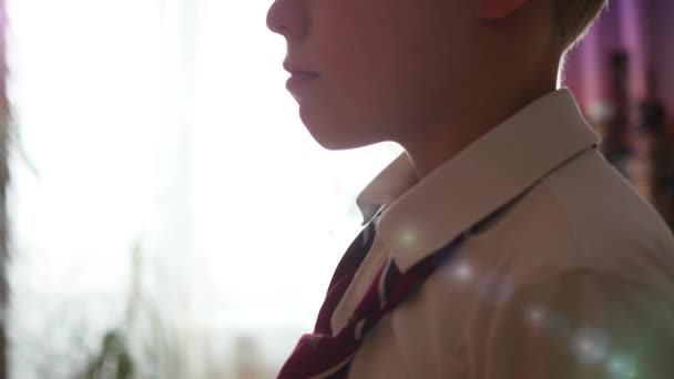 Mamá lleva una corbata a su hijo al lado de la ventana en el sol — Vídeos de Stock