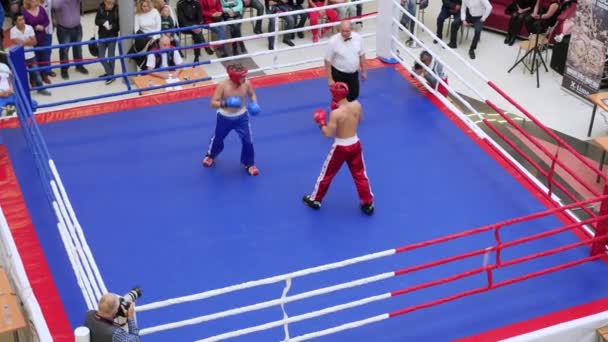 NOVOSIBIRSK, RUSIA - 15 de octubre de 2016: el torneo de kickboxing en el ring — Vídeos de Stock