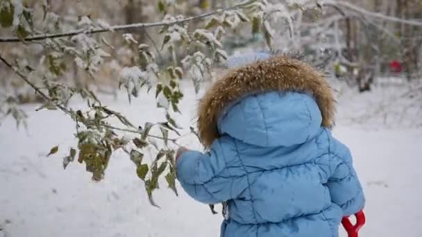 Bambino felice gioca in un parco con albero nevoso — Video Stock