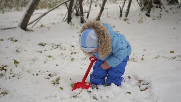 Niño jugando con la pala de nieve en el parque — Vídeos de Stock
