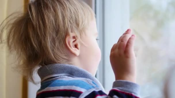 Uma criança olha pela janela para a queda de neve — Vídeo de Stock