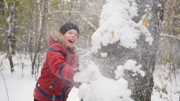 Kind spielt Schneeballwerfen hinter Baum im Winterpark — Stockvideo