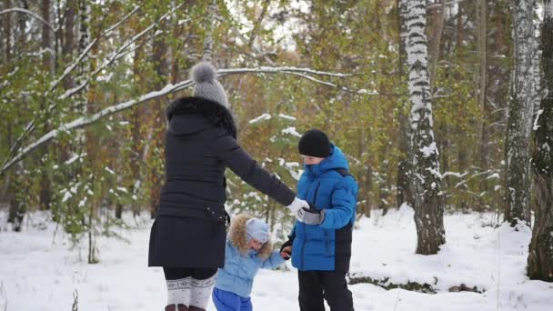 Счастливая семья веселится в зимнем парке — стоковое видео