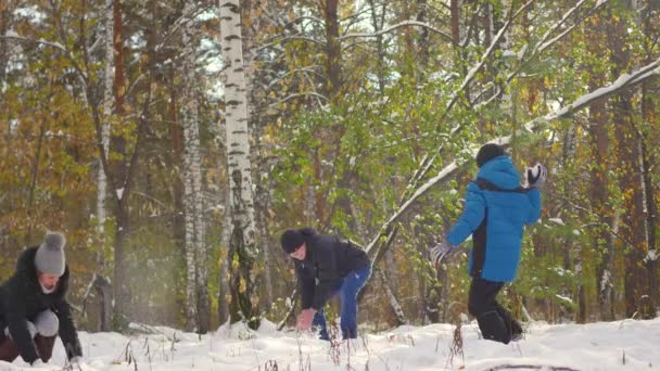 Familia jugando lanzando bolas de nieve en el parque de invierno — Vídeos de Stock