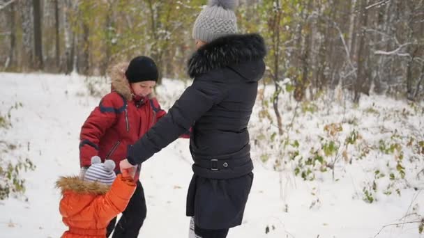 Счастливая семья веселится в зимнем парке — стоковое видео
