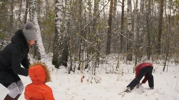 Семья играет в снежки в зимнем парке — стоковое видео