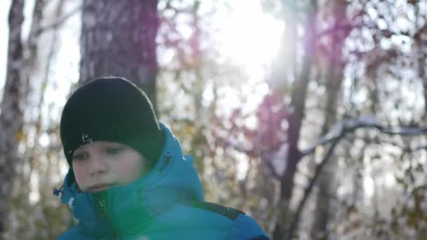 Criança sorri e acena no parque de inverno — Vídeo de Stock