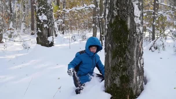 Kid spelar kasta snöbollar bakom trädet i Vinterparken — Stockvideo
