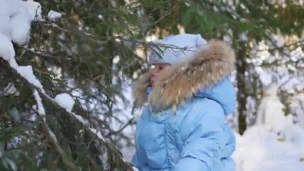 Niño tira la nieve de las ramas de los árboles en un día soleado — Vídeos de Stock