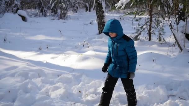 Het kind tuimelt in de sneeuw in de winter park — Stockvideo