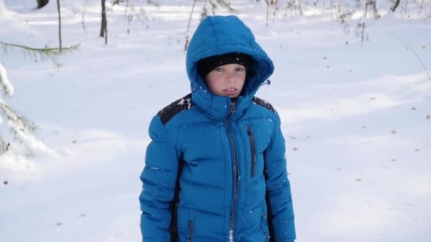 Uma criança cair na neve e fazer um anjo da neve em câmara lenta — Vídeo de Stock