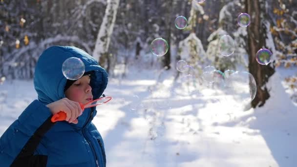 Jongen maakt grote zeepbellen in het Park met verrukking op een zonnige dag — Stockvideo