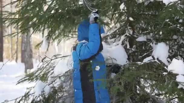 Adolescente joga fora neve de galhos de árvore em um dia ensolarado — Vídeo de Stock