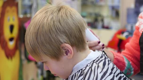 Childs'ın saçlarını kuaför dükkanında — Stok video