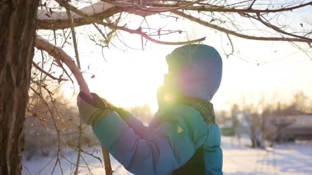 Niño feliz se para cerca de un árbol y sonríe en el soleado día de invierno — Vídeos de Stock