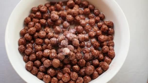 Corn balls with chocolate flavor and milk mixed in a bowl. Slow Motion — Stock Video