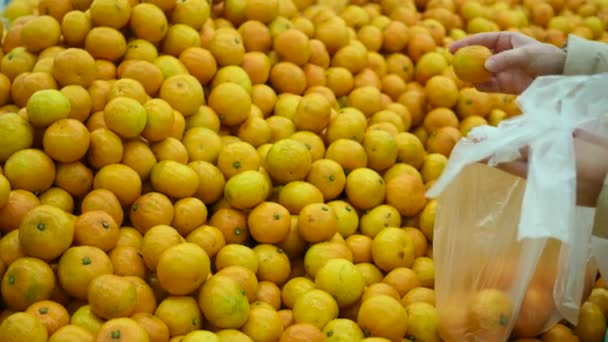 Les gens choisissent les mandarines sur le marché — Video